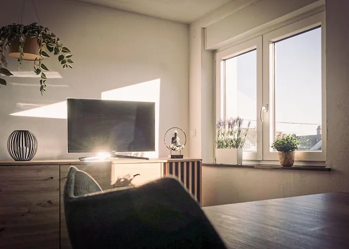 Schlossblick 新维德